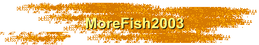 MoreFish2003